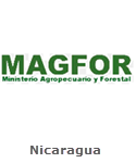 Magfor